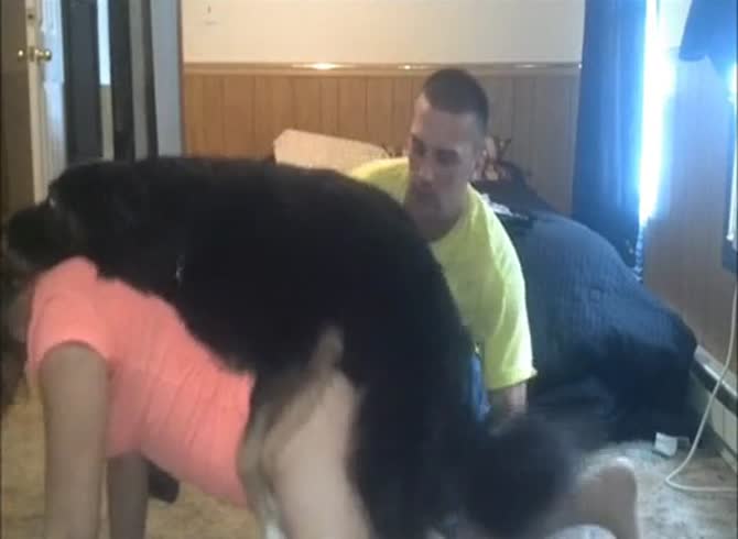 Video :Black dog xxx hard banging a sexy girl from behind